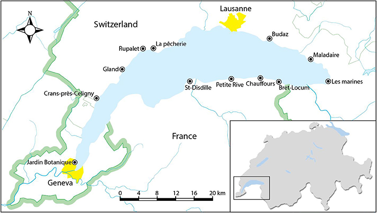 Localização das 12 praias pesquisada no lago de Genebra