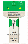 www.frontiersin.org