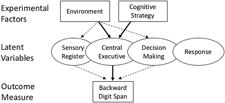 hypothesis of a digit span memory test hypothesis of a digit span memory test