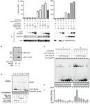 www.frontiersin.org
