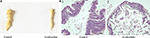 www.frontiersin.org