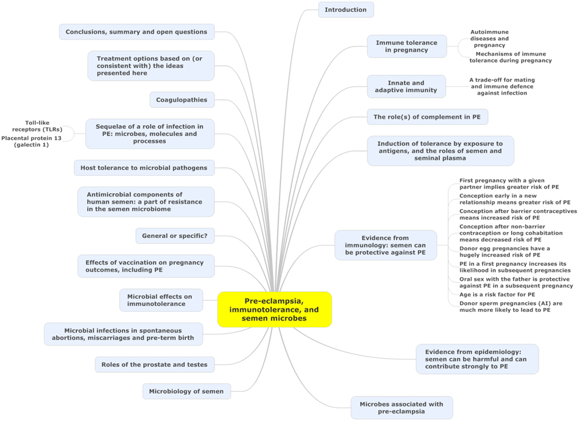 Frontiers Immunological Tolerance Pregnancy And Preeclampsia