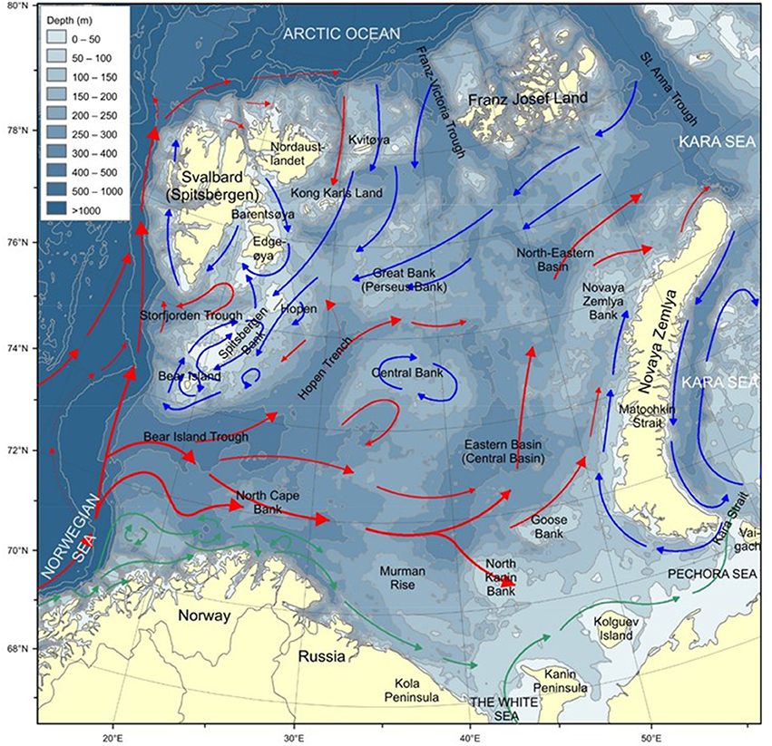 Frontiers Assessment Of Marine Litter In The Barents Sea - 
