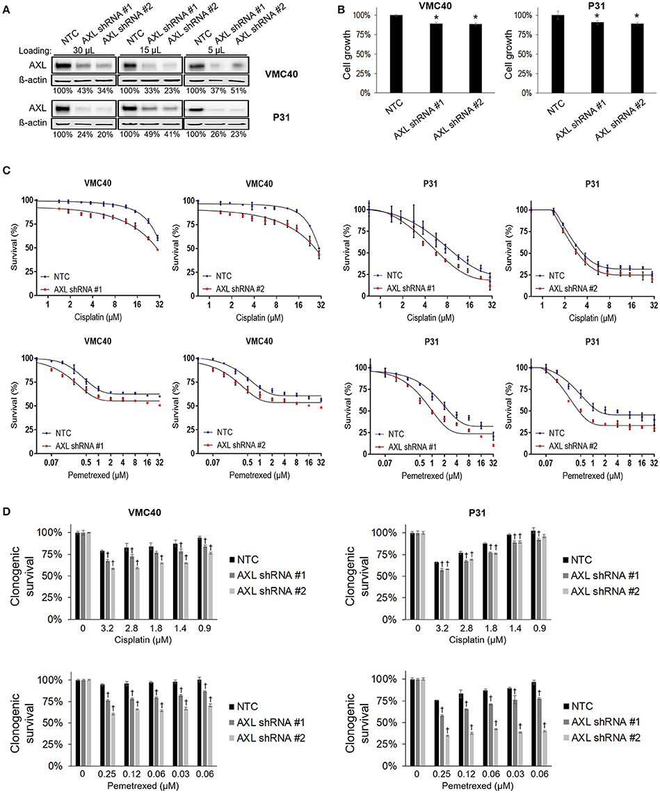 how can i test for covid 19 antibodies