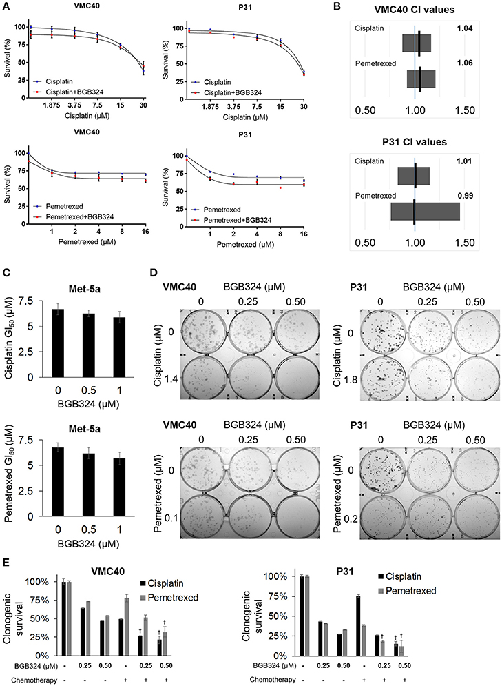 high dose vitamin c mesothelioma