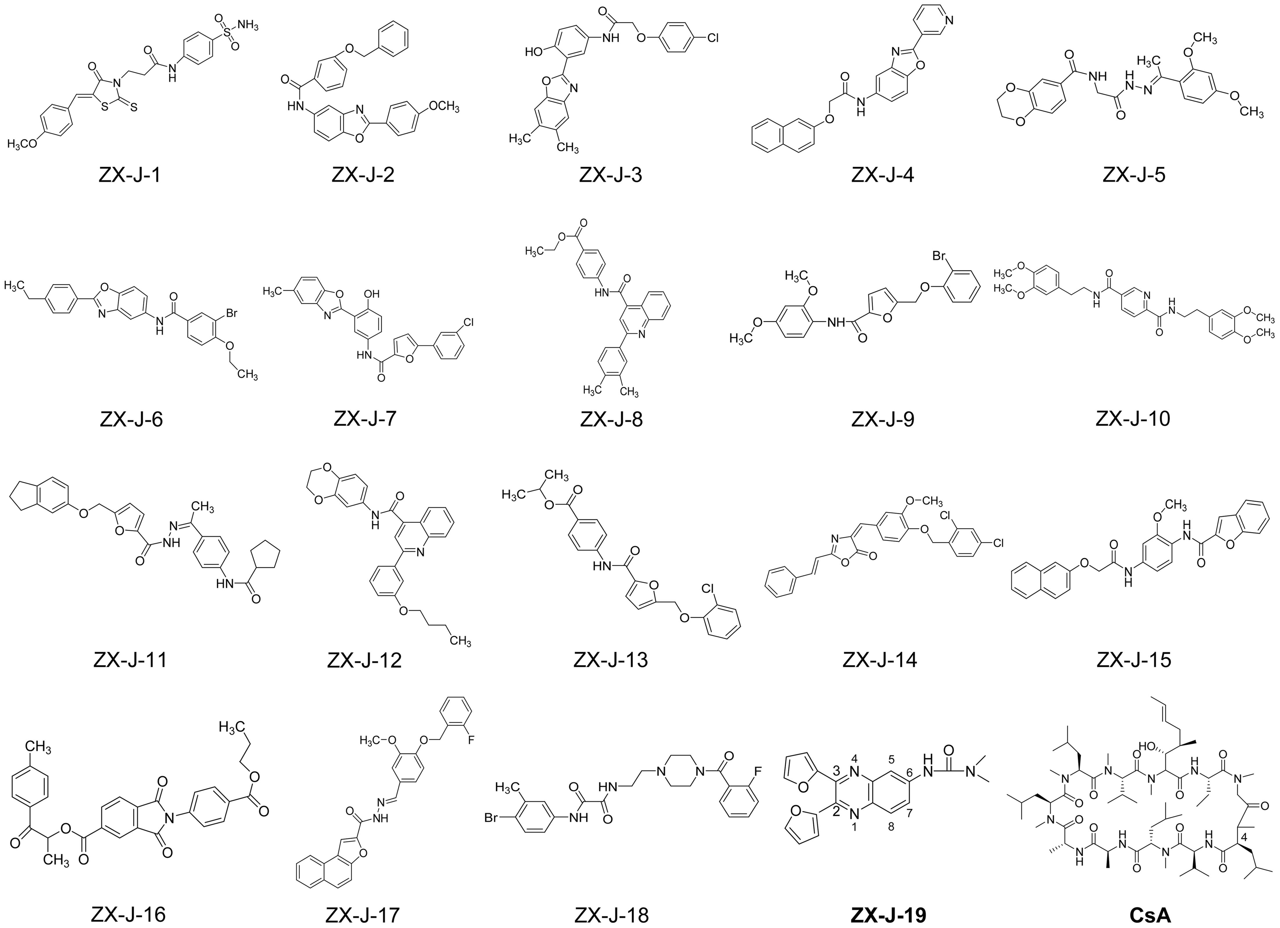 新作ウエア Cyclophilin | Frontiers J 2,3 from Derived Inhibitors PPIase エッセンシャルオイル