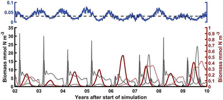 Boom and Bust  cycle - Bio Brains