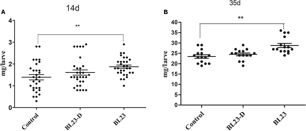 Frontiers Impact Of Lactobacillus Casei Bl23 On The Host Transcriptome Growth And Disease Resistance In Larval Zebrafish Physiology
