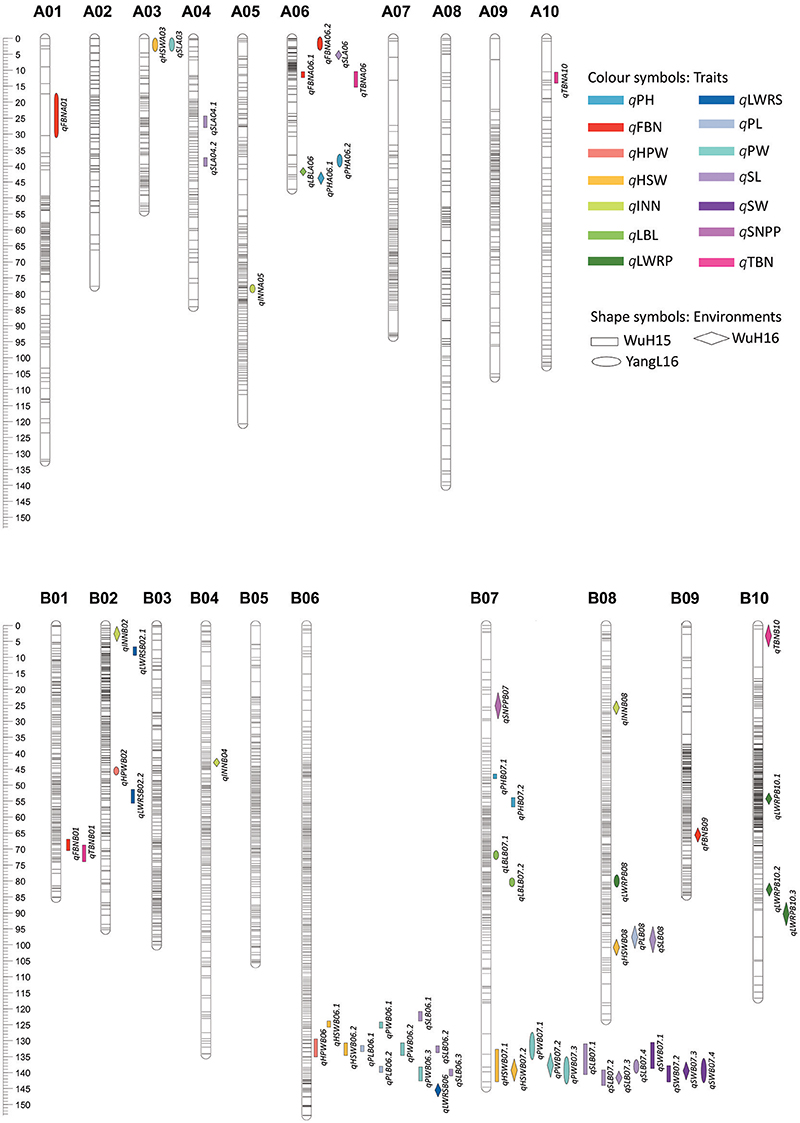 Frontiers | Development of a High-Density Genetic Map Based on Specific ...