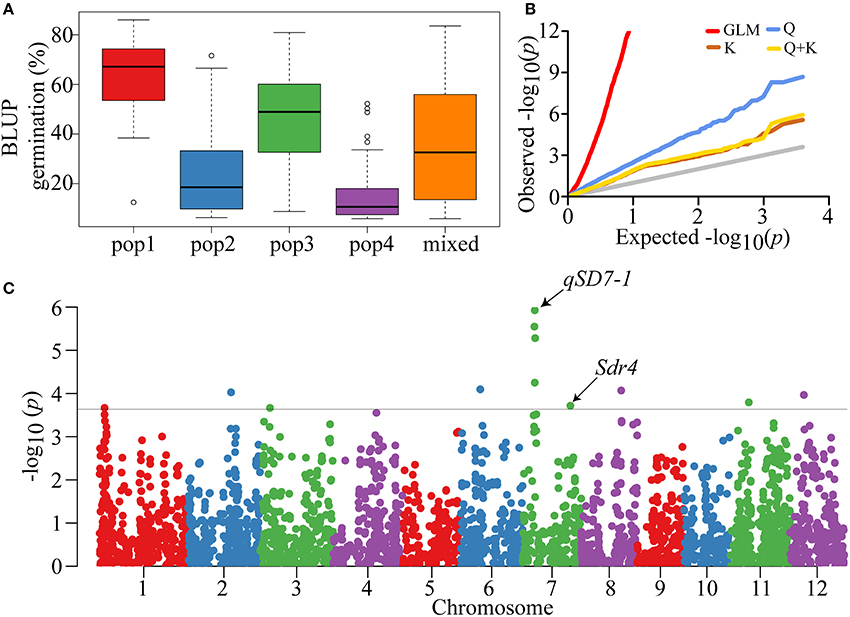 Frontiers | Genome-Wide Association Study of Seed Dormancy
