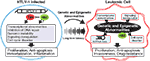 www.frontiersin.org