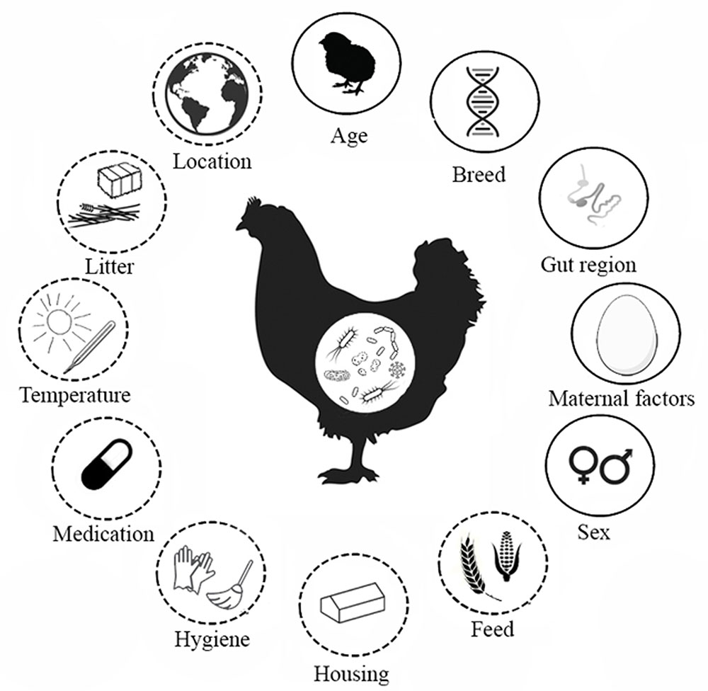 Host and Environmental Factors Influencing Individual Human