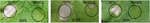 www.frontiersin.org