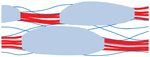 www.frontiersin.org