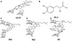 fphys-09-00389-g001.gif