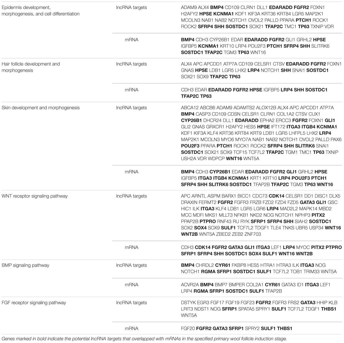 Frontiers | Transcriptome Reveals Long Non-coding RNAs and mRNAs ...