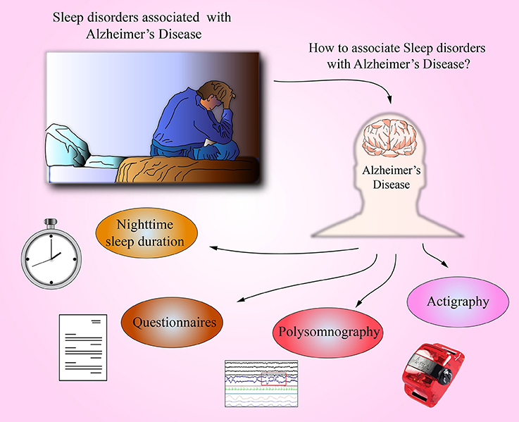 Frontiers | Sleep Disorders Associated With Alzheimer&#39;s Disease: A  Perspective | Neuroscience