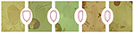 www.frontiersin.org