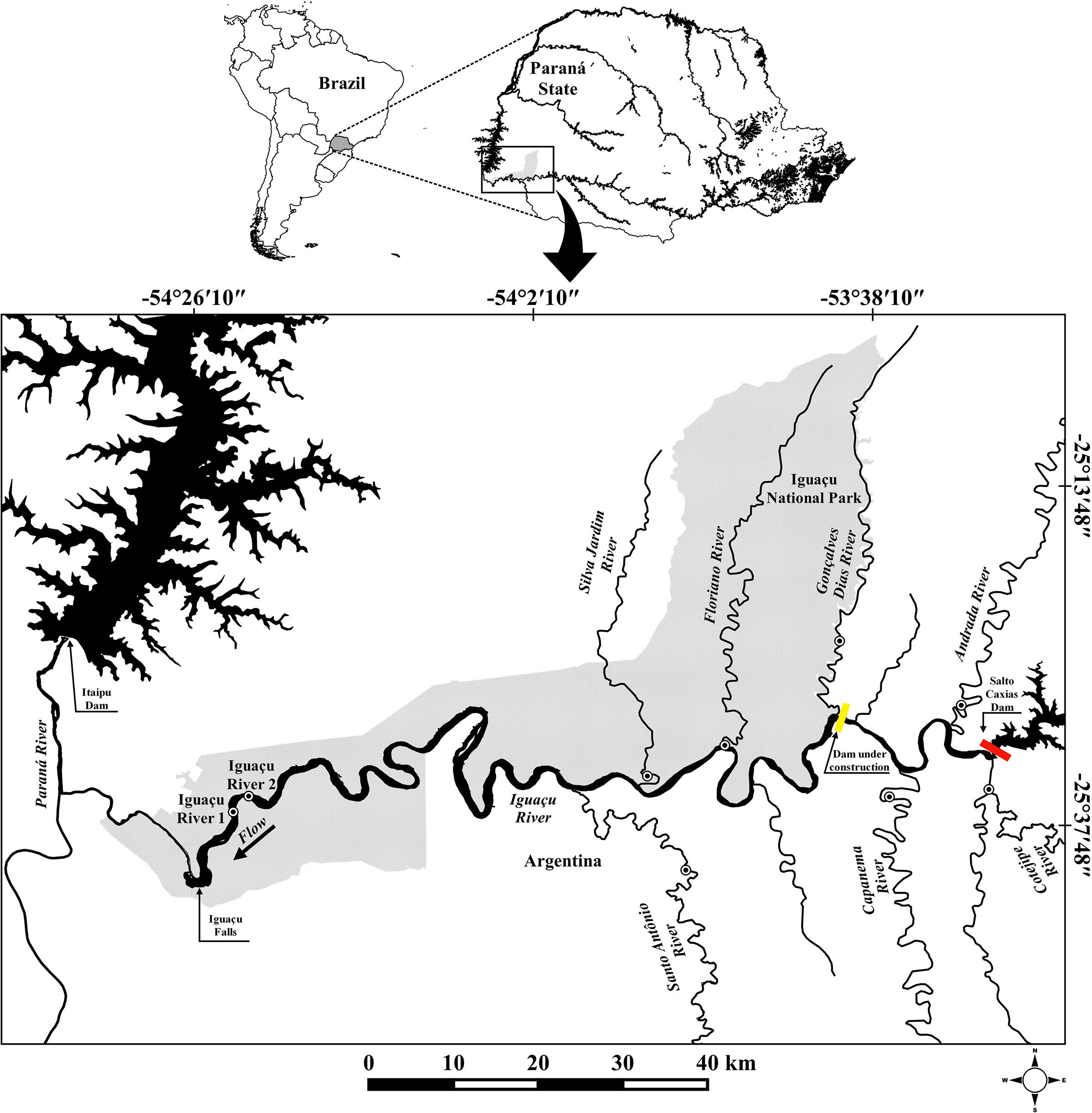 Study area and sampling lakes in the Upper Paraná River Floodplain