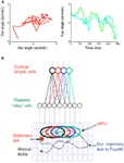 www.frontiersin.org
