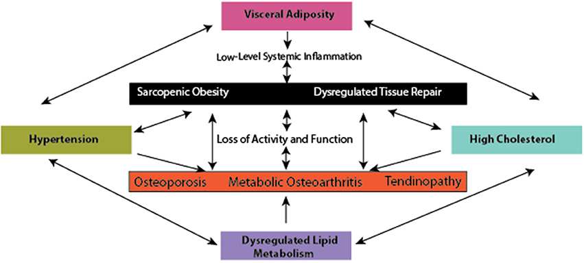 diabetes metabolic syndrome journal impact factor