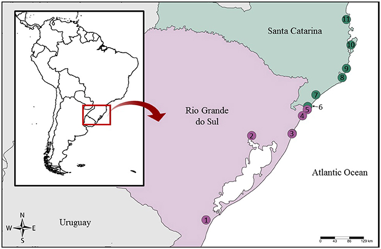 www.frontiersin.org