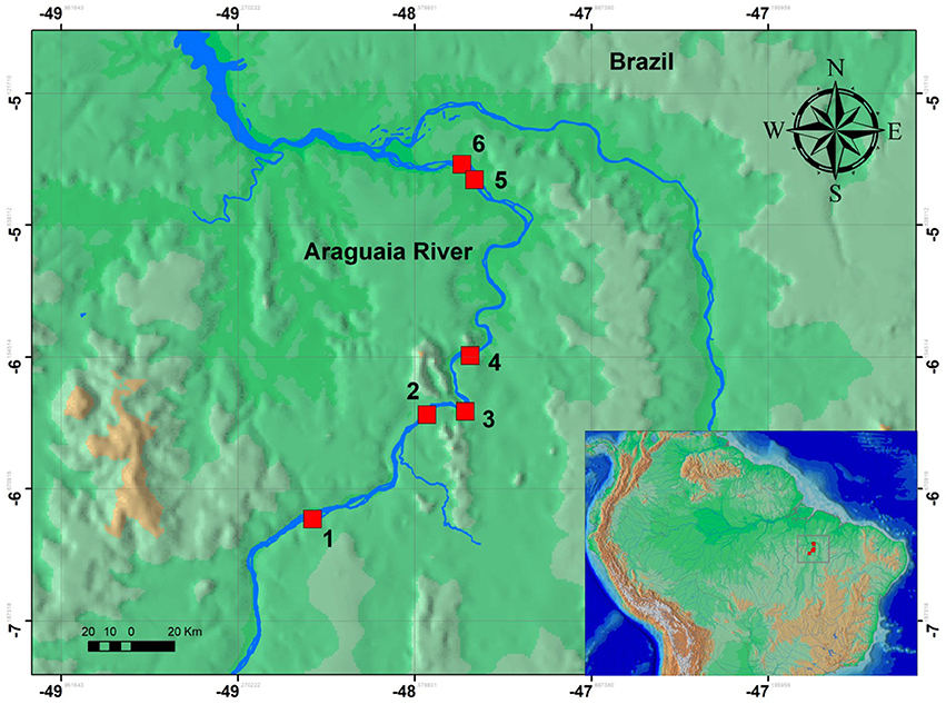 www.frontiersin.org