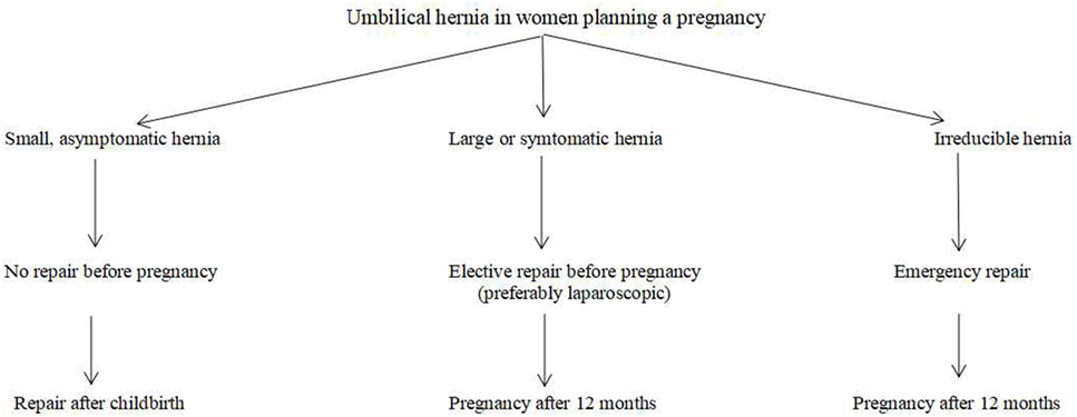 Frontiers Umbilical Hernia Repair And Pregnancy Before During After 