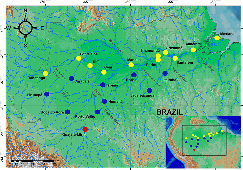 www.frontiersin.org