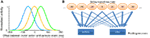 www.frontiersin.org