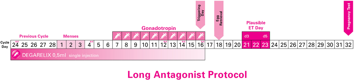 www.frontiersin.org