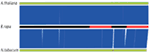 www.frontiersin.org