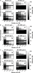 www.frontiersin.org
