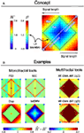 www.frontiersin.org