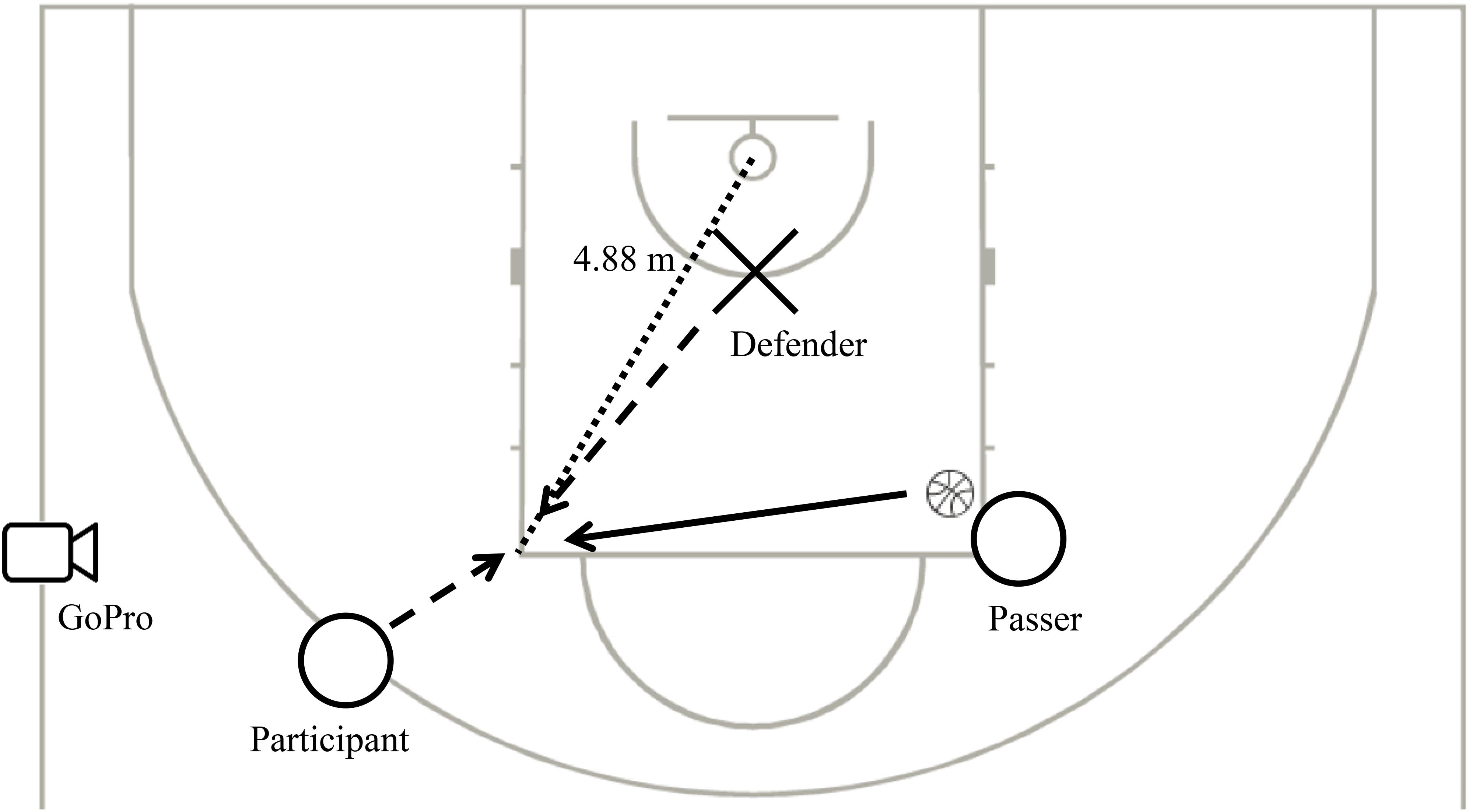 PDF) Percepção subjetiva do estresse em oficiais de arbitragem de  basquetebol (Perception of stress in basketball officials)