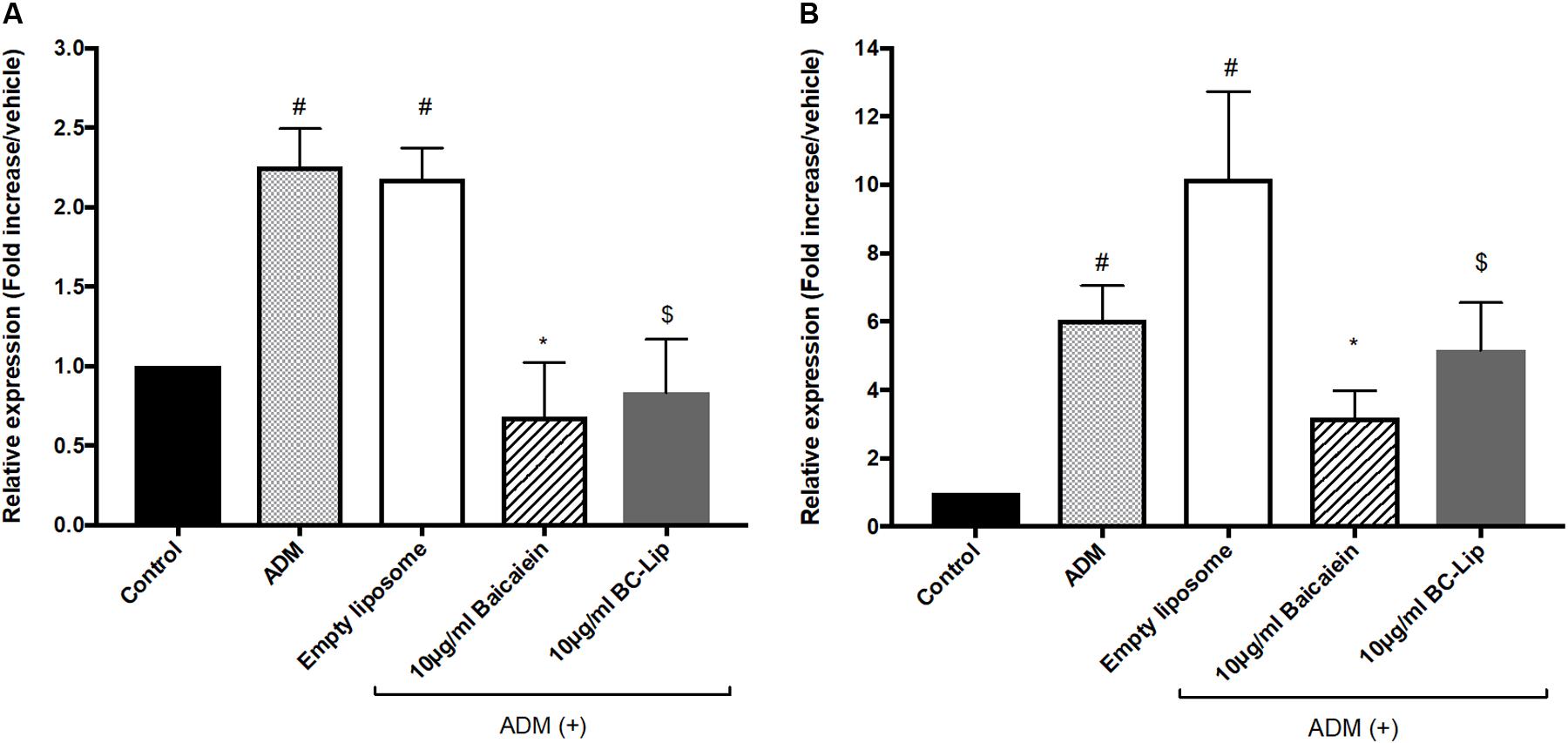 Frontiers Liposome Encapsulated Baicalein Suppressed Lipogenesis And Extracellular Matrix Formation In Hs68 Human Dermal Fibroblasts Pharmacology