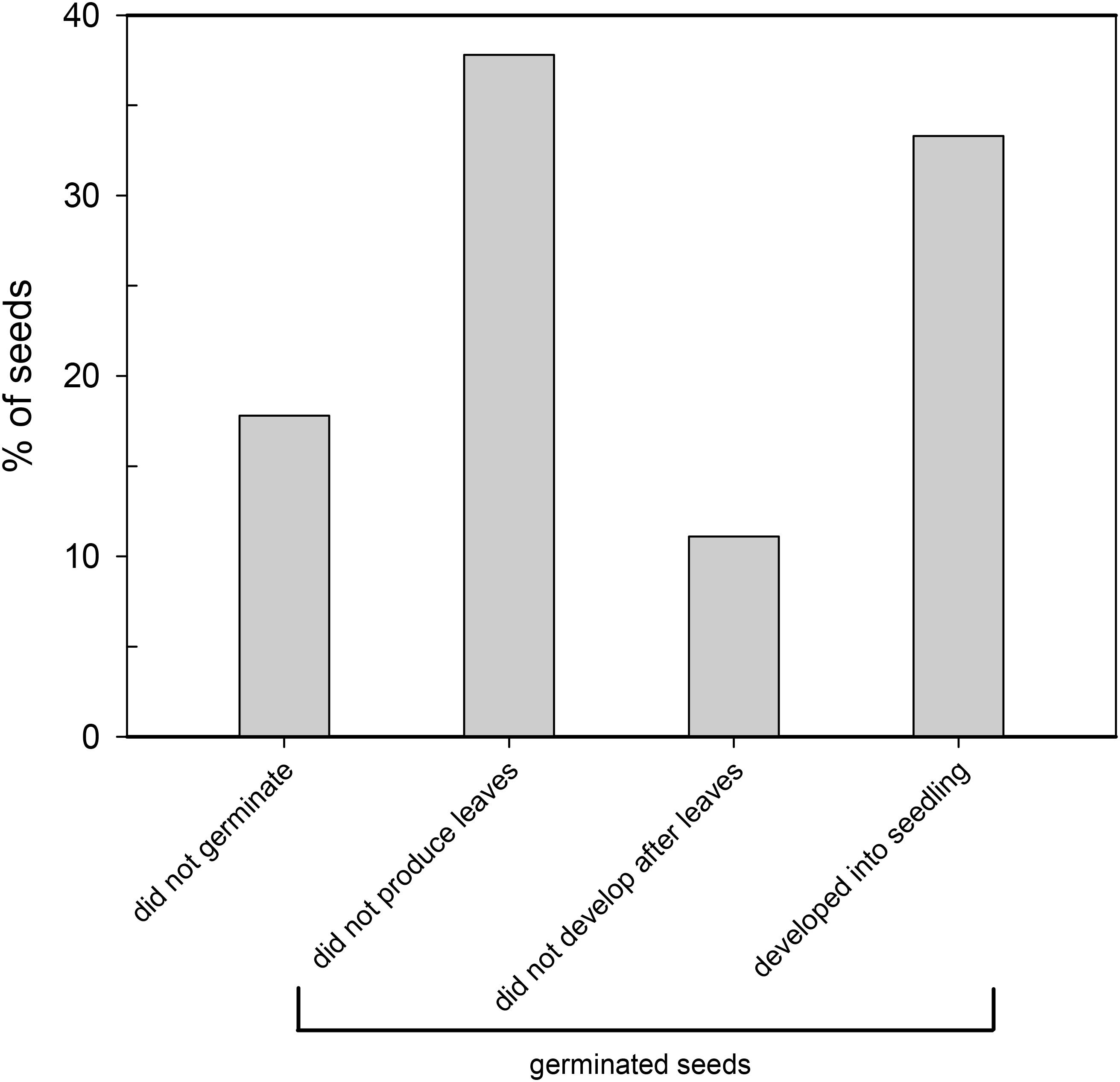 Integrative plant responses: How seagrasses adjust to light - Research  Outreach