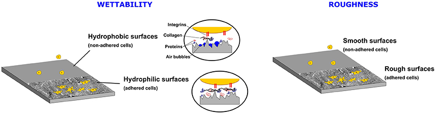 Physical Texturing for Superhydrophobic Polymeric Surfaces: A