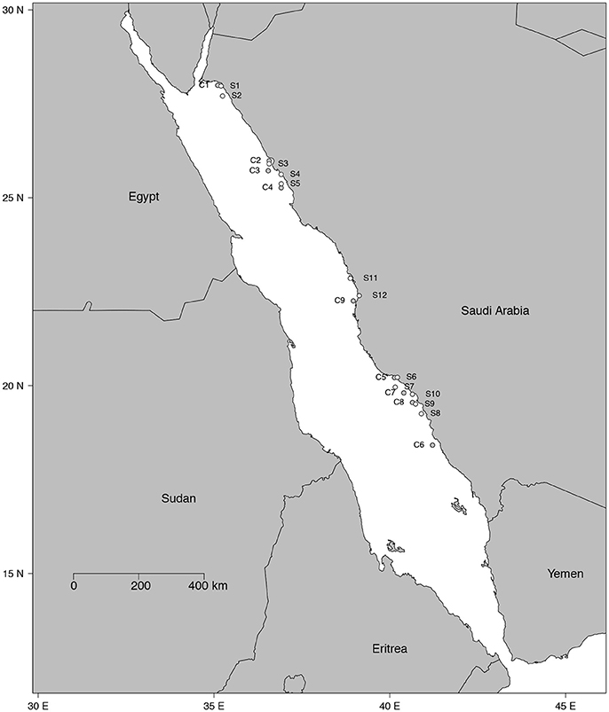 Red Sea Map Of N