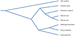 www.frontiersin.org