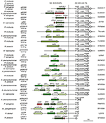 nucleobytes 4peaks nucleobytes 4peaks