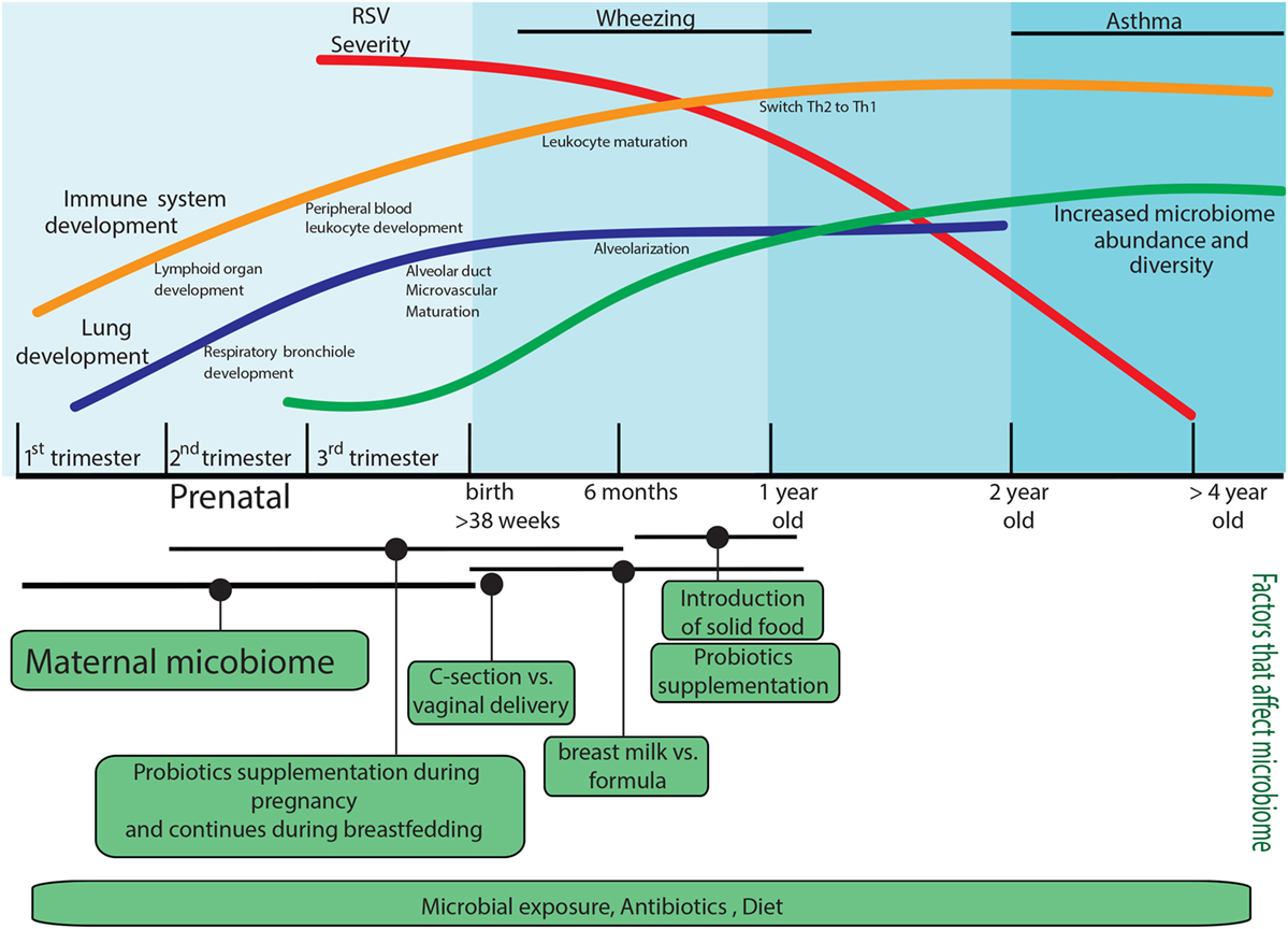 Rasky Chart