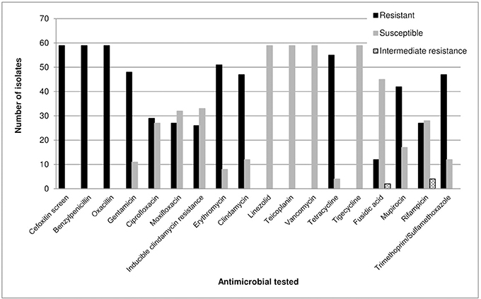 Are teicoplanin-non-susceptible Staphylococcus epidermidis strains  increasing?