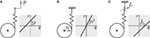 www.frontiersin.org