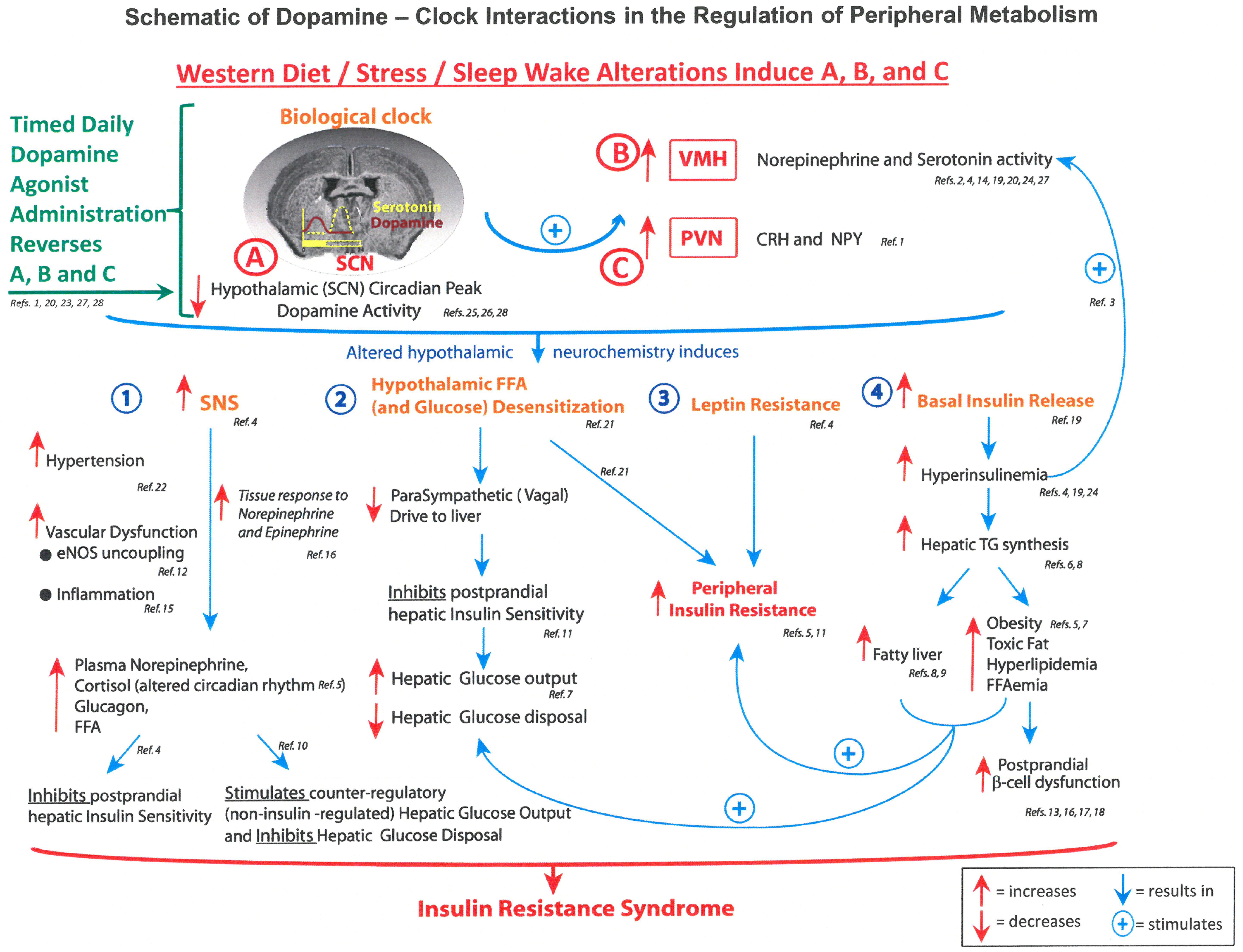 type 1 diabetes and tachycardia)