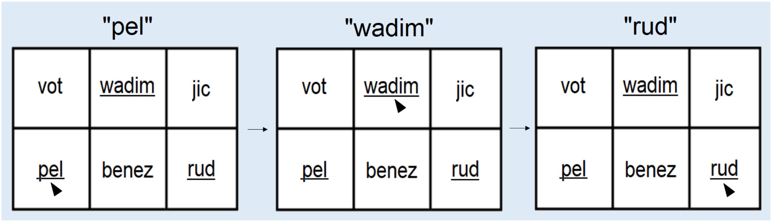 www.frontiersin.org