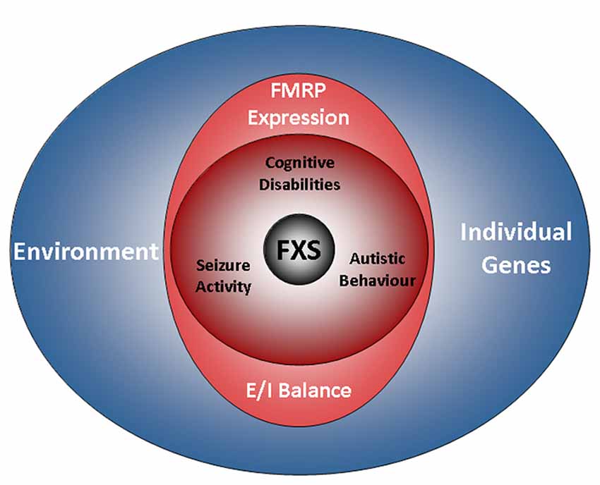 50 Shocking Statistics on Fragile X Syndrome You Must Know - 2023