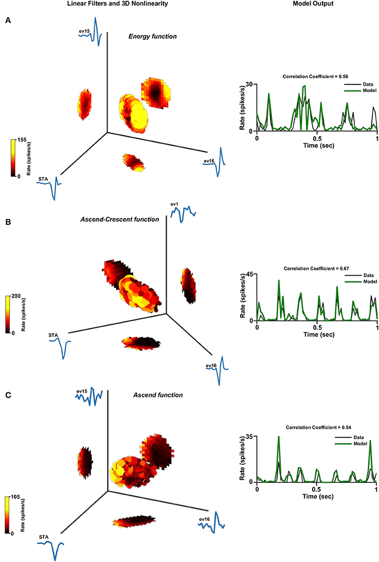 Frontiers Coding Schemes In The Archerfish Optic Tectum Frontiers In Neural Circuits