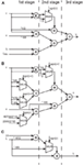 www.frontiersin.org