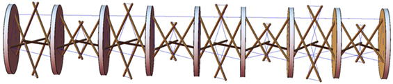 www.frontiersin.org